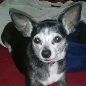 Meet your Posher, Isabelle